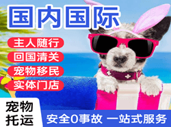 王村航空托运国际宠物托运 【国